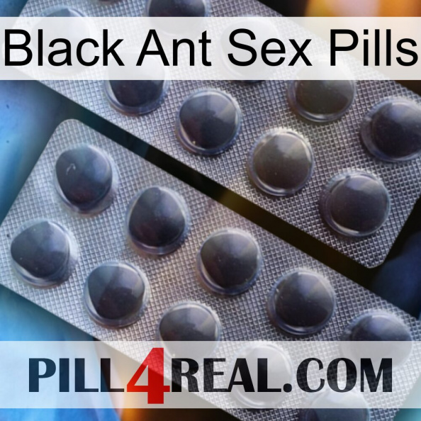 Black Ant Sex Pills 31.jpg